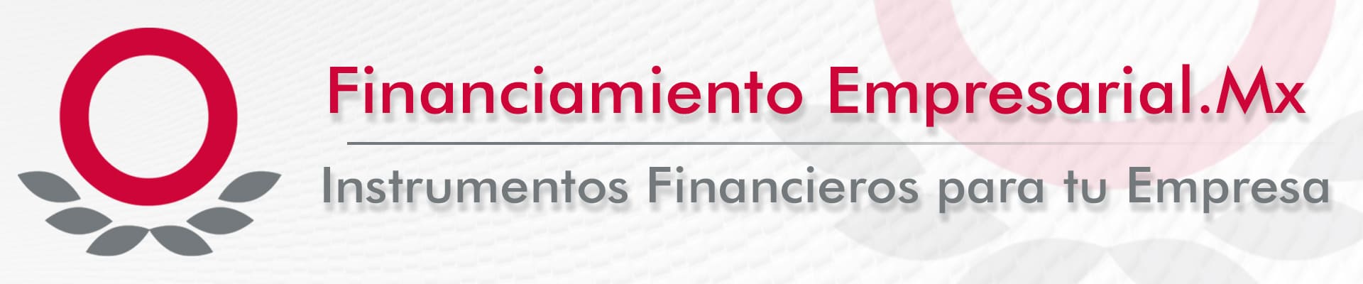 Instrumentos Financieros para tu Empresa